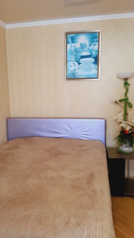 Квартира Квартира 2х ком. в центре Сочи — Сочи