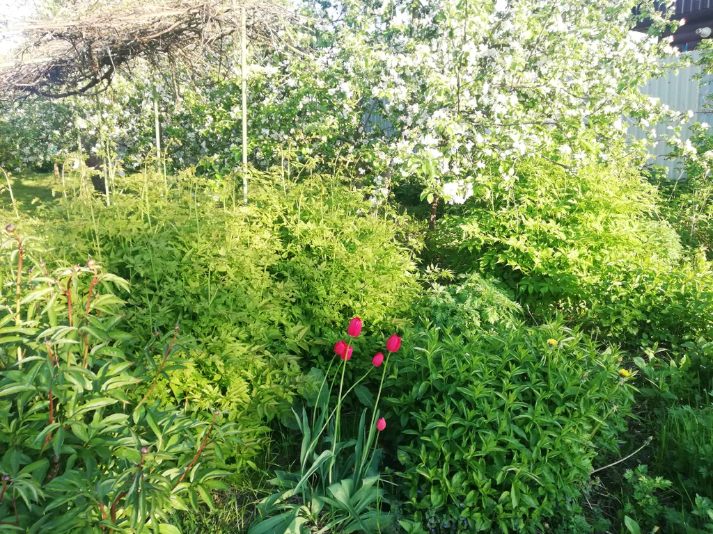 Домик в деревне