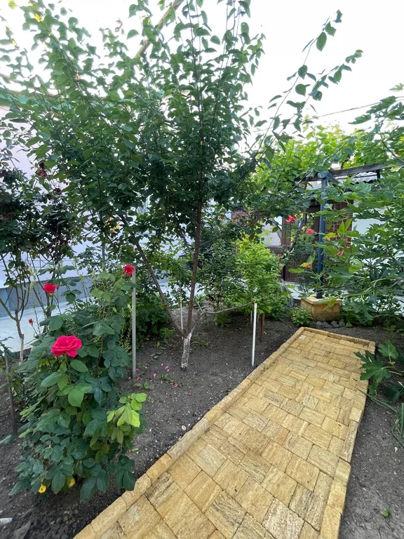 Комфортный отдых в летний период