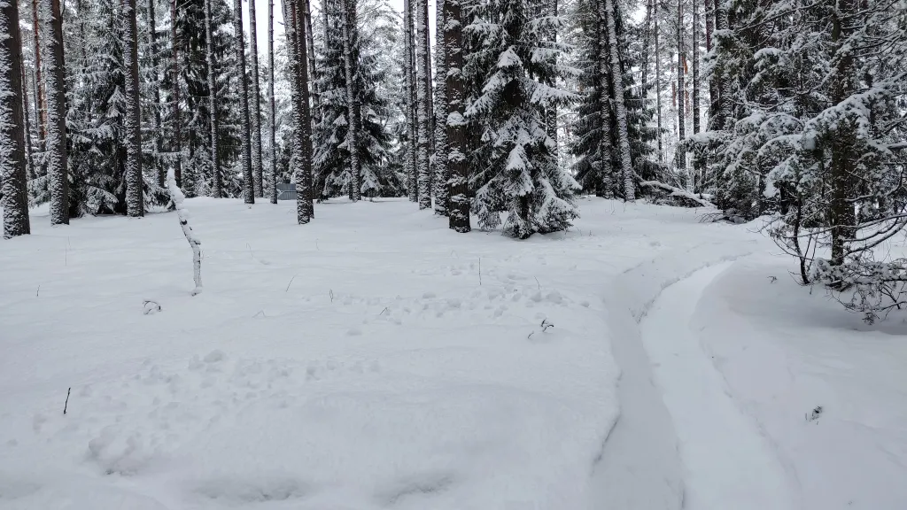 Коттедж Коттедж Амфрейм 6 местный у озера с баней, чаном и детской площадкой с батутом — Ланино