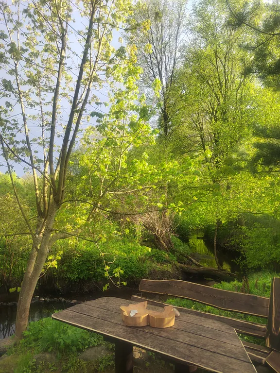 Усадьба седьмое небо банкетный зал до 16 человек с баней под полоцком