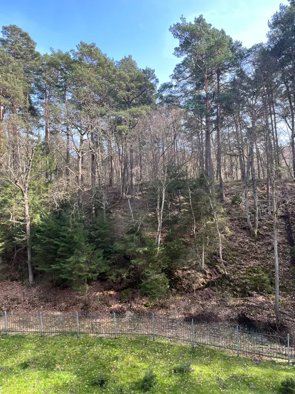 Квартира Апартаменты у озера с видом на лес — Светлогорск