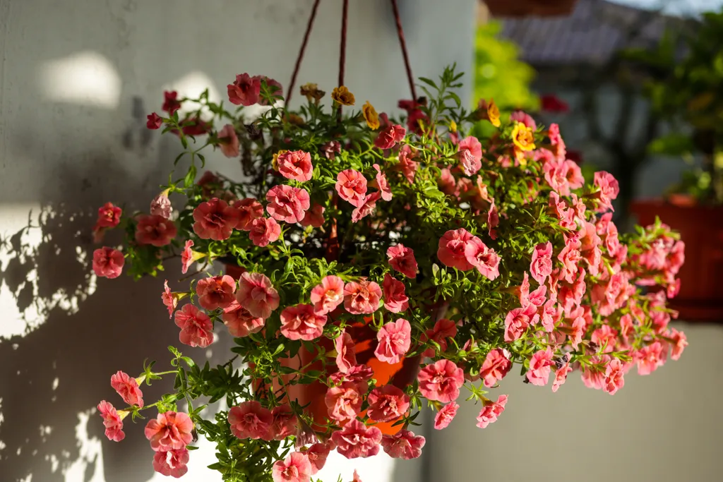 Casa Colina с террасой Вид на море и горы