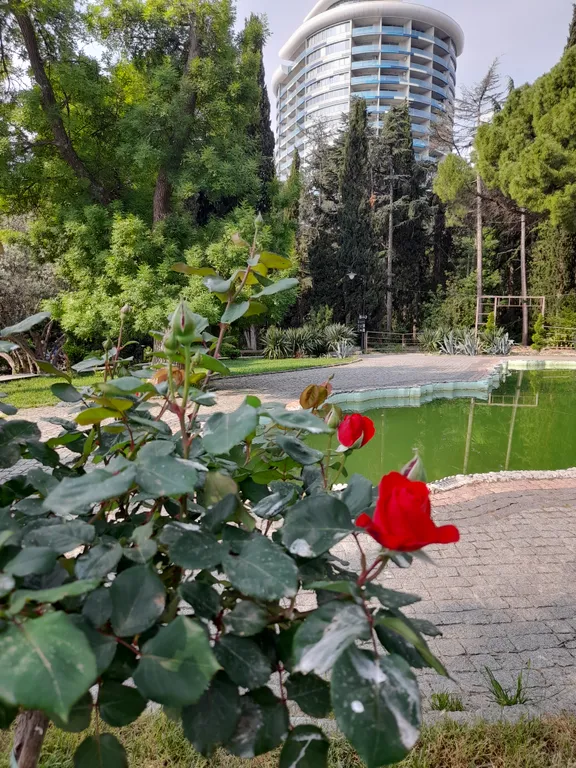 Уютный апартамент в ЖК Зазеркалье Ялта Приморский парк