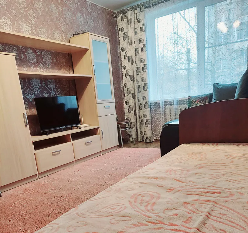 Квартира Уютная однокомнатная квартира — Луга