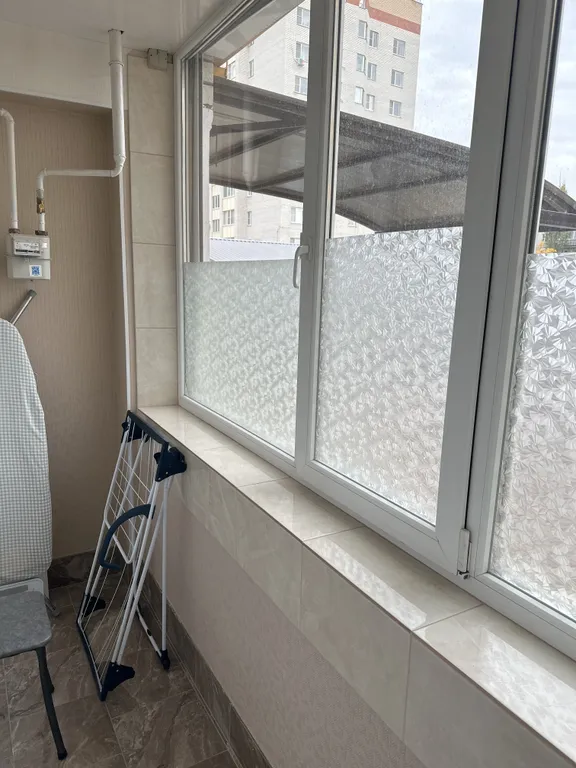 Одуванчики