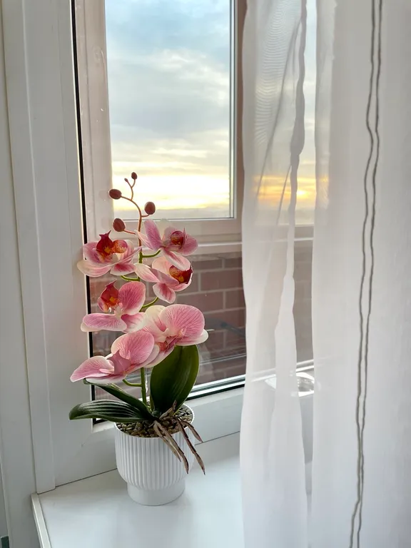 Улыбнись, тебе здесь рады
