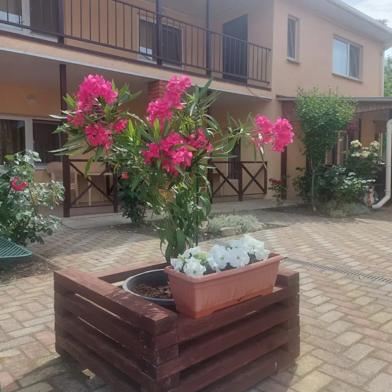 Уютная комната у моря