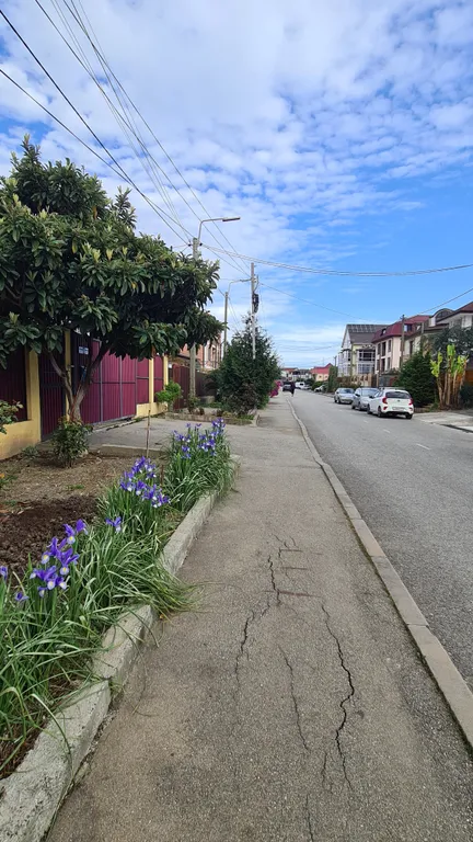 Квартира Квартира в Сириусе с отдельной спальней и балконом — Сириус