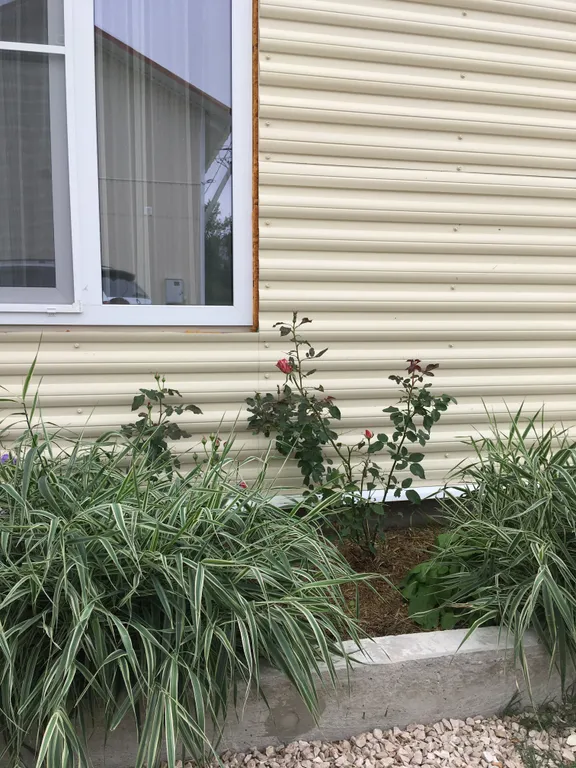 Студия рядом с морем