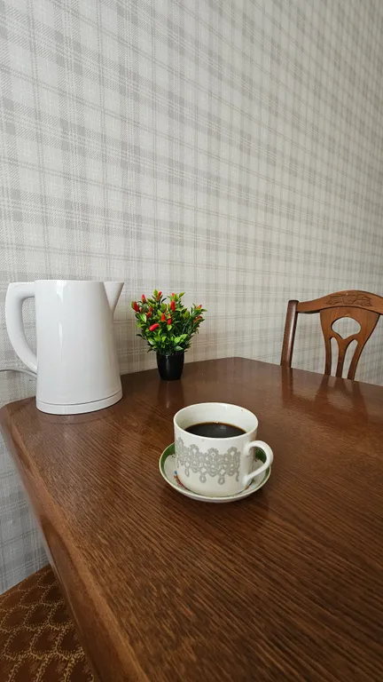 Квартира Уютная, теплая, чистая квартира с новым ремонтом — Самара