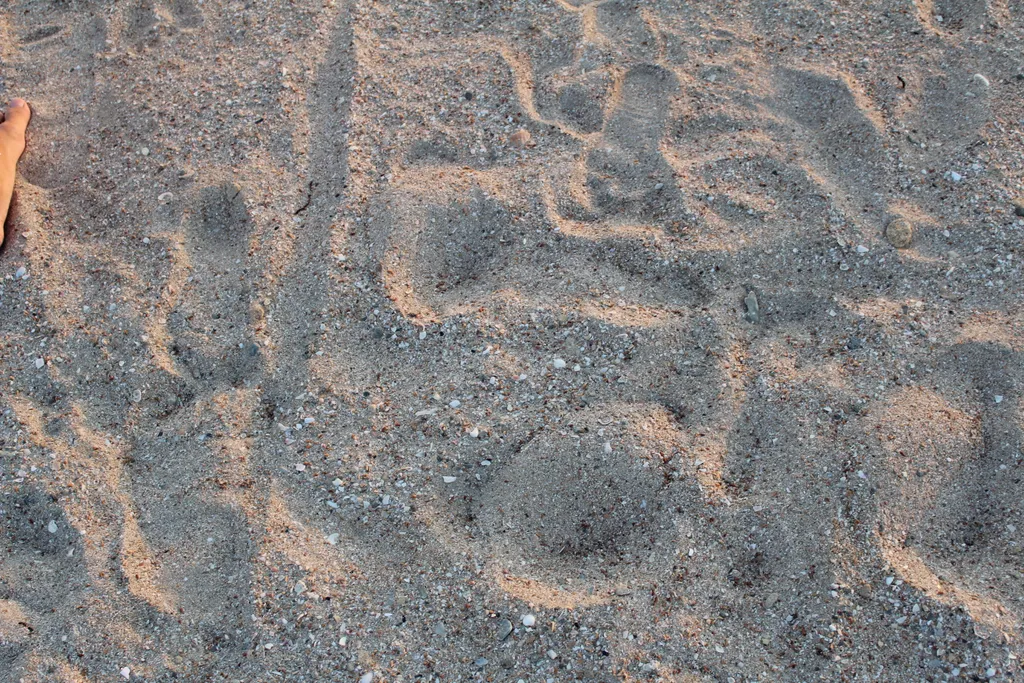 Коттедж Дом у моря, для семейного отдыха — Витино