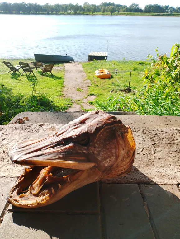 Дом на берегу реки