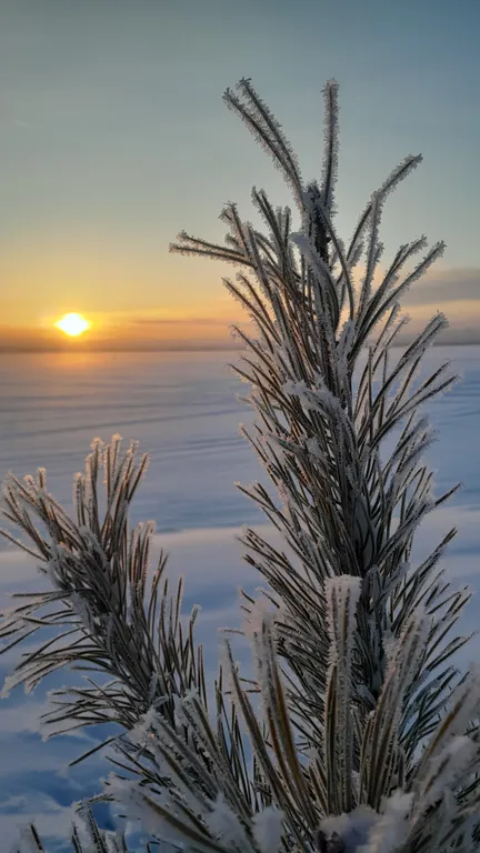 Карелия Сортавала 2 комнатная квартира, wi-fi, парковка, рядом кафе, озеро