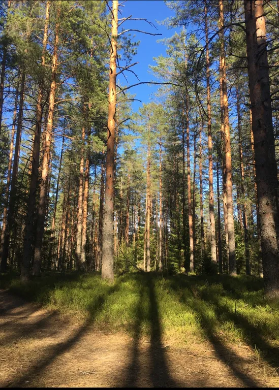 Дом у озера Мстижа