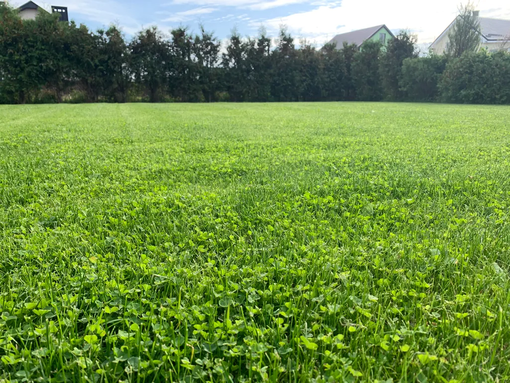 Коттедж Деревянный дом недалеко от моря — Зеленоградск