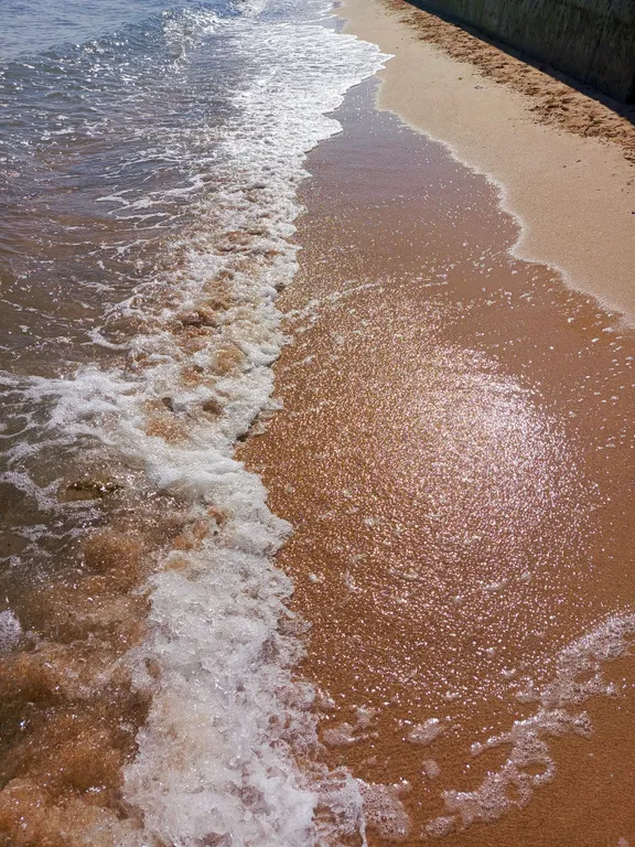 Жильё на Азовском море