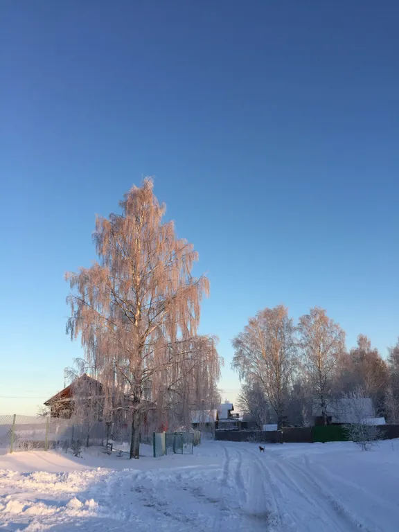 Уютный причал