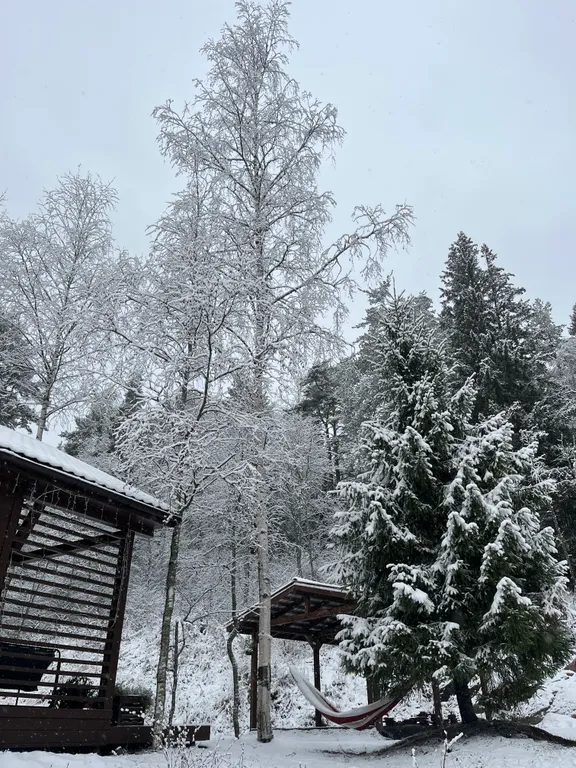 Дом у скалы