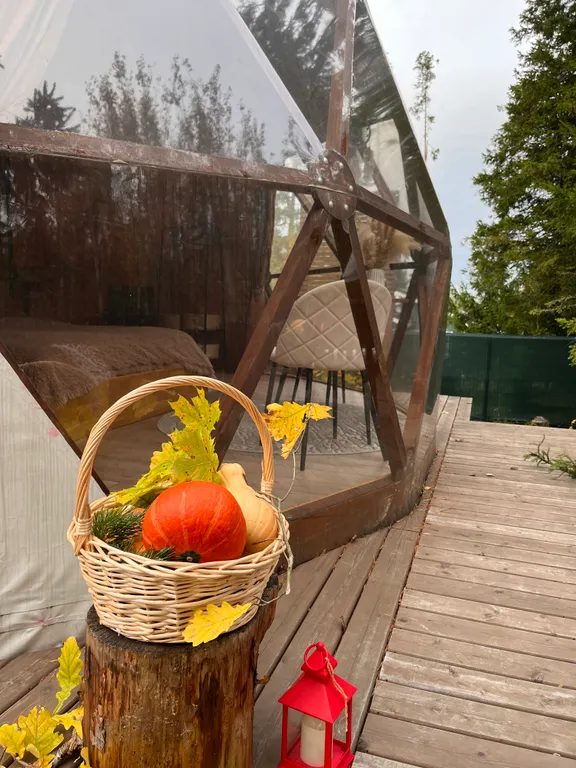 Коттедж Купольный дом Bearloga — Санкт-Петербург