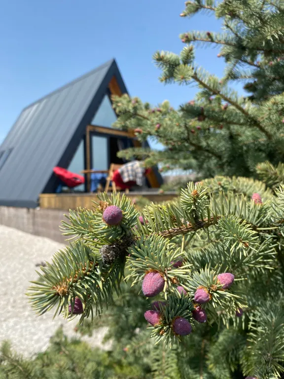 Nelmanhouse домик афрейм с джакузи и баней и видом на море