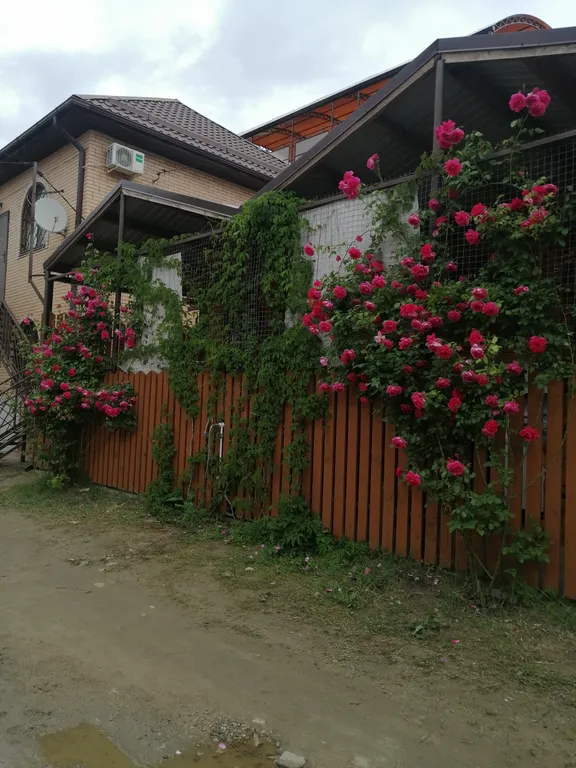 Коттедж Домик у Азовского моря, частный сектор, дача — аренда посуточно в Голубицкая