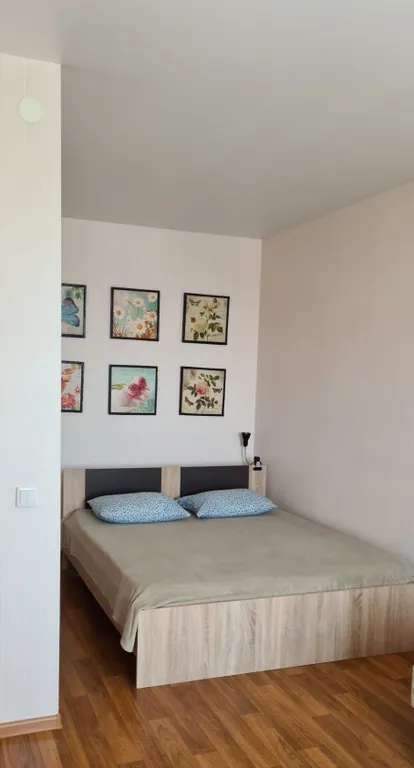 1комнатная квартира