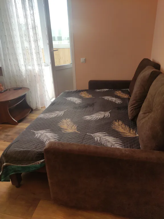 Стильная двухкомнатная квартира на Заельцовской