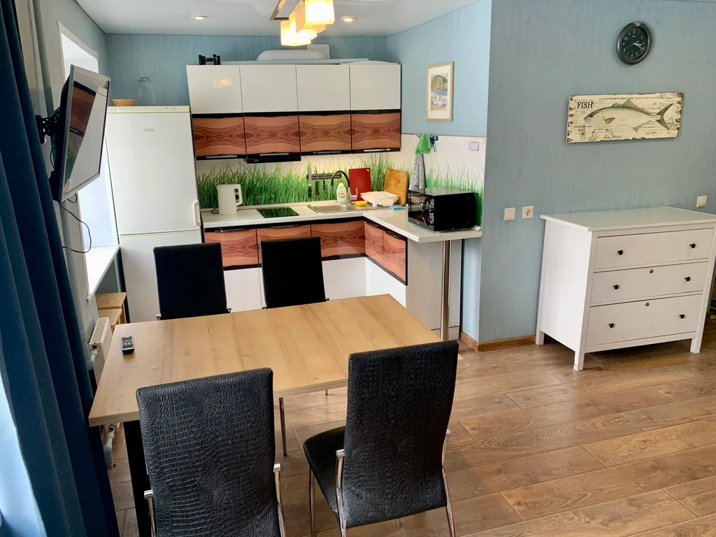 Квартира студия с видом на горы — аренда посуточно в Лодейное