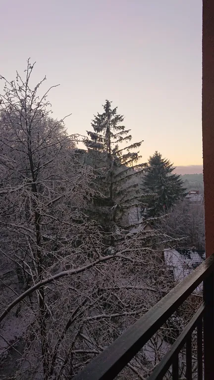 Прекрасная квартира на берегу Балтийского моря