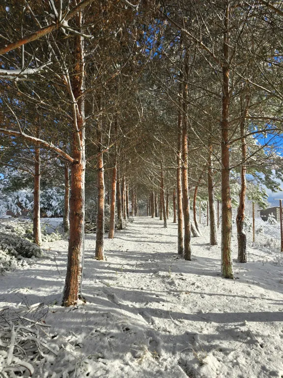Современный дом с удобствами 1 линия озеро Селигер