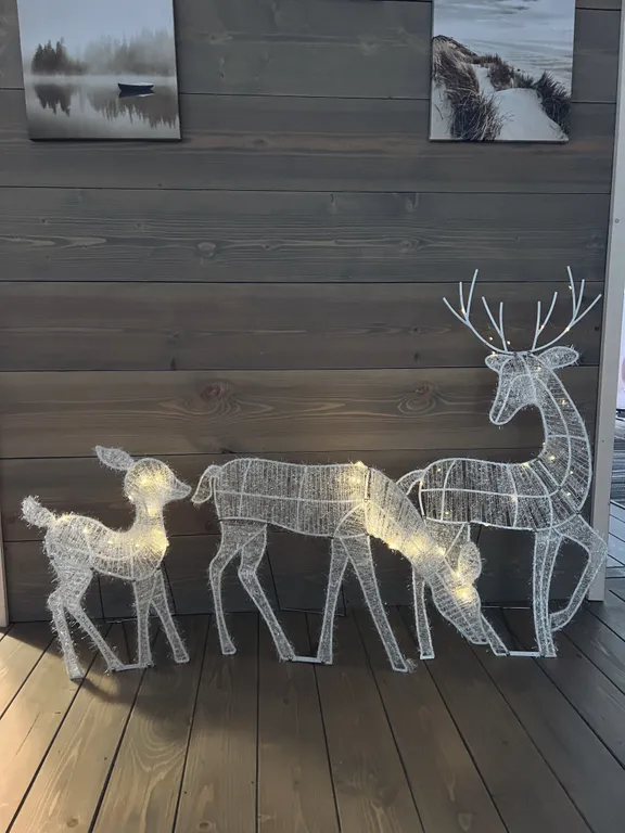 Коттедж Дубль дома с панорамными окнами на сосны — Семеновское