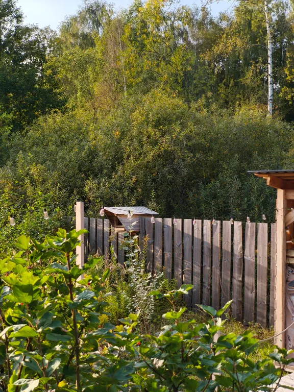 Барнхаус для отдыха у леса и реки