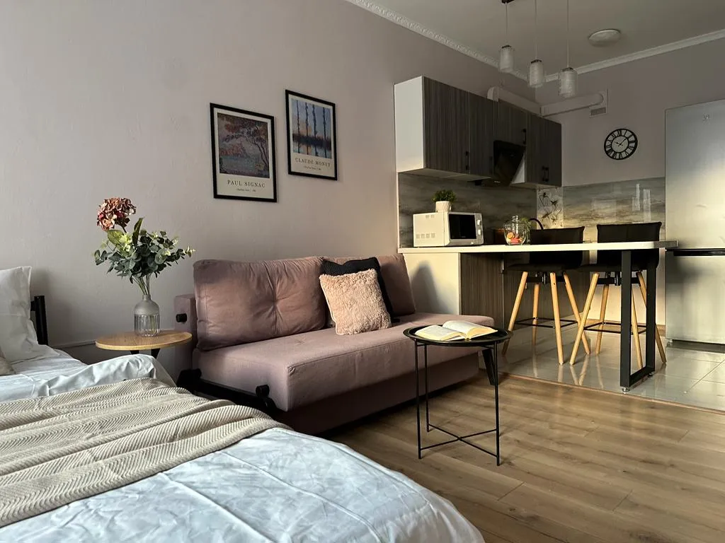 Красивая студия Меренга в центре города