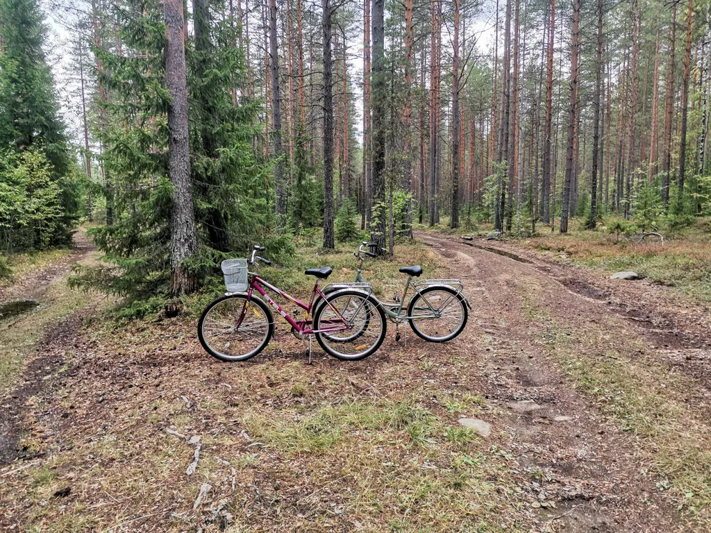 Дом с садом между лесом и рекой