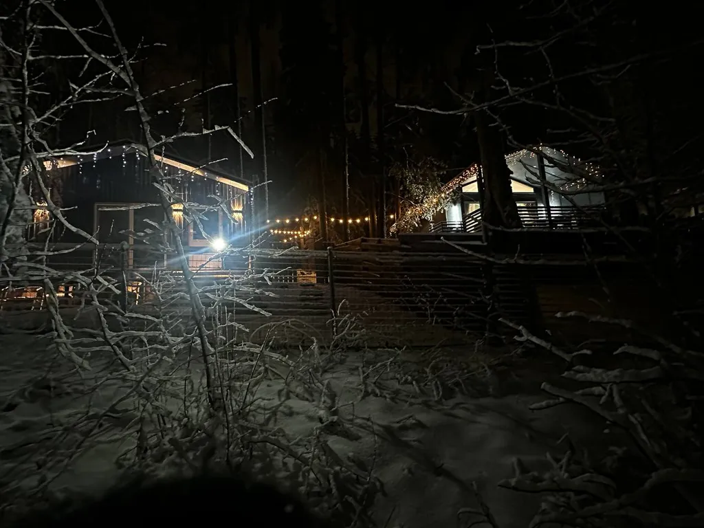 Дом в черте города в лесу