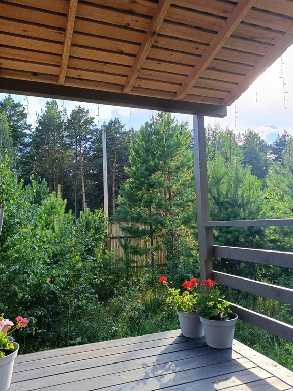 Темный домик на опушке леса