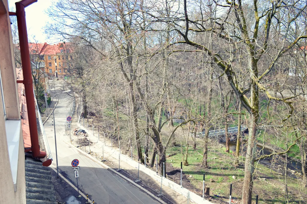 Комната в необычной квартире с видом на ручей и деревья (см. описание)