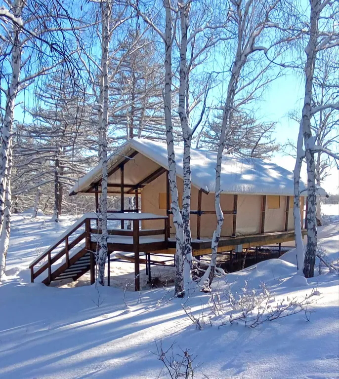 Уютное шале на природе в экопарке