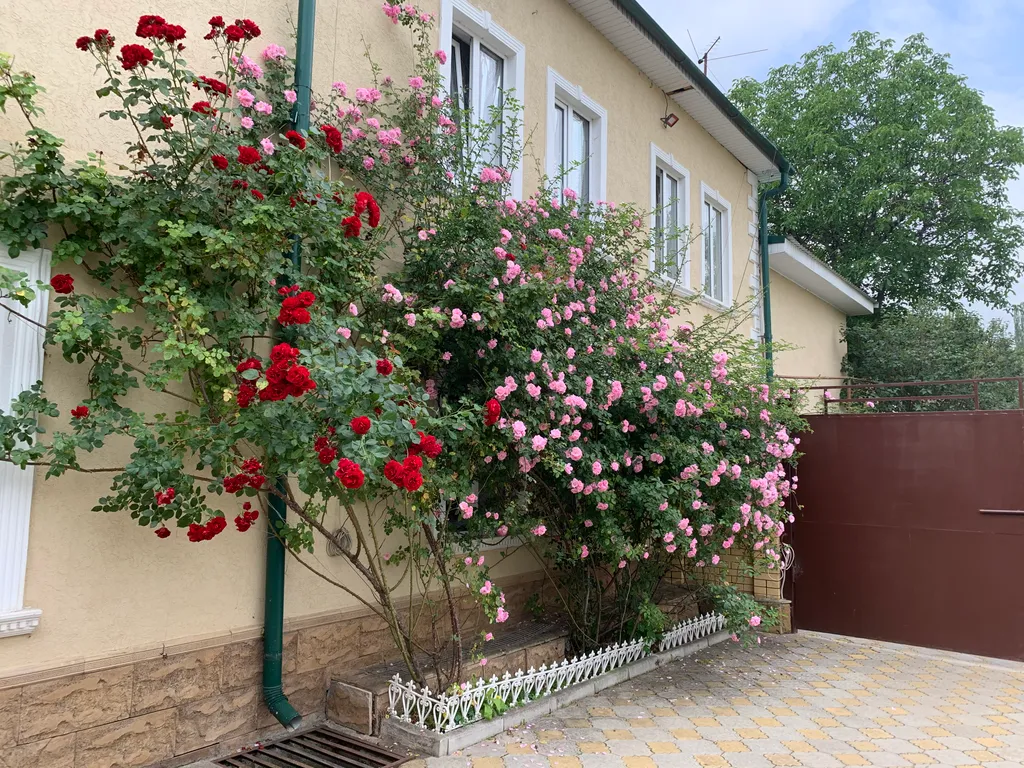 Коттедж 1-комнатный Дом — Кисловодск