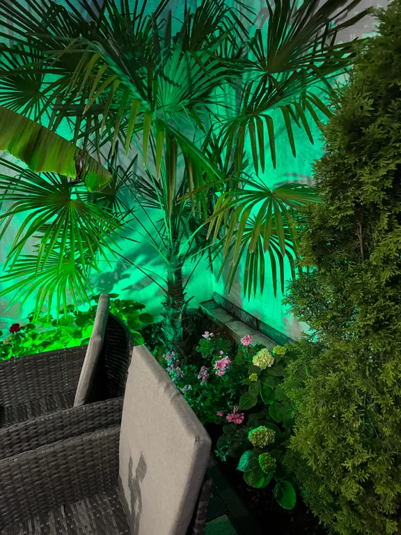 Уютный новый дом с собственным бассейном