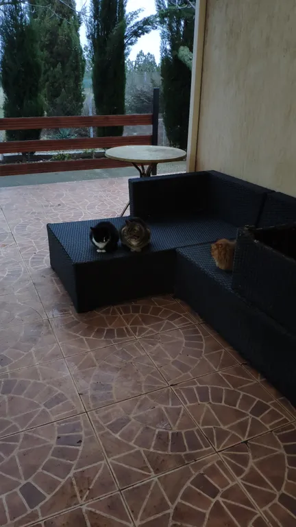 Апартаменты Романтик на море