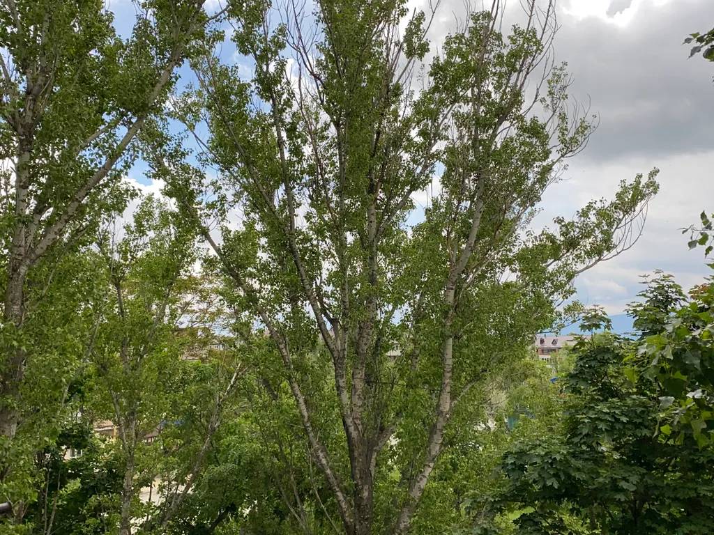 Уютная квартира в центре