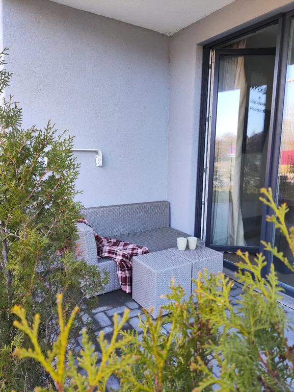 Квартира Apartment Blue sea — аренда посуточно в Светлогорск