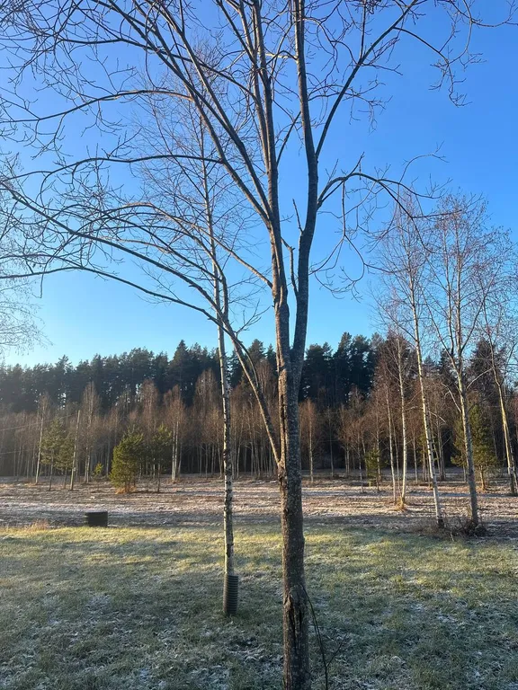 Домик в каньоне