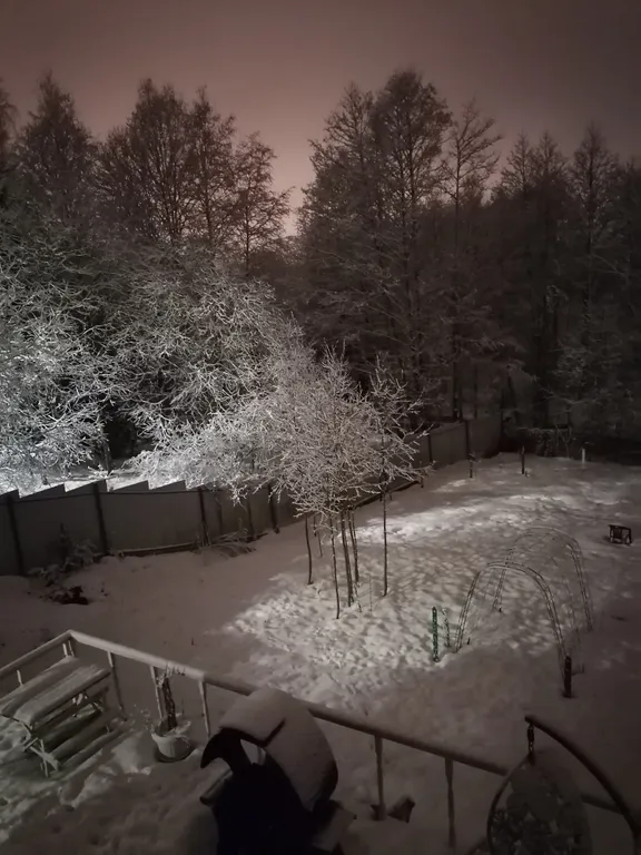 Квартира Комната — Ломоносов