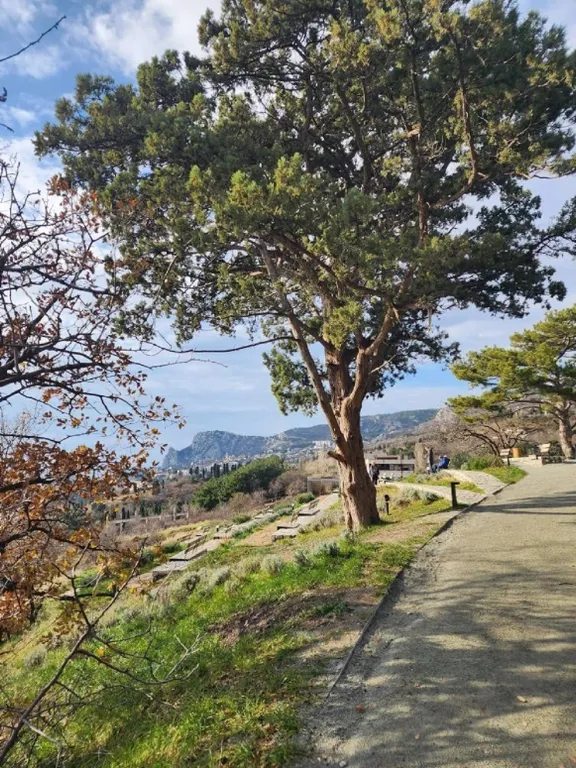 Уютная студия с прекрасным видом на море