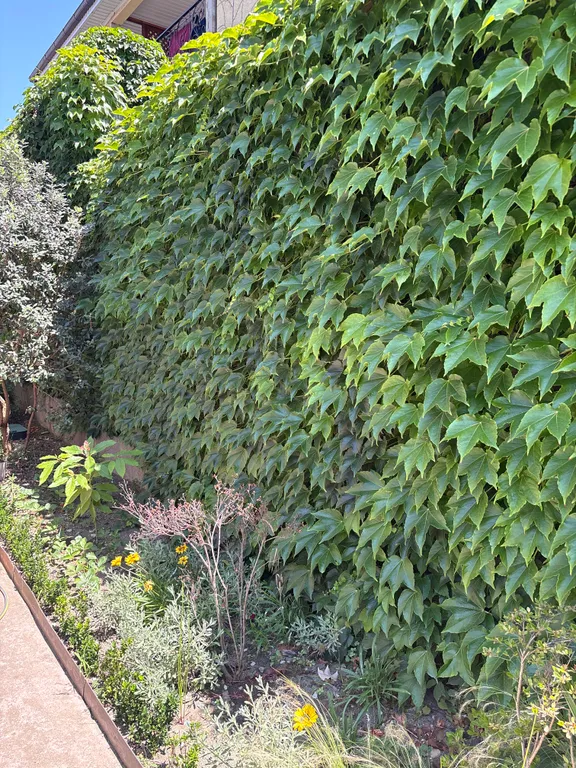 Квартира Делюкс-комната в лучшем районе Чёрного моря — Сириус