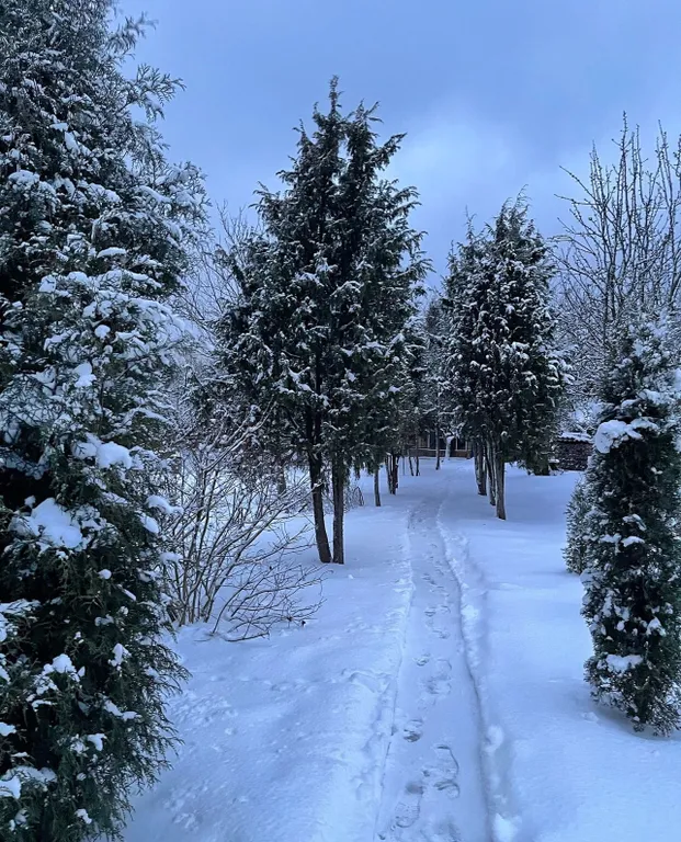 Уютный деревенский домик с русской баней возле берега озера