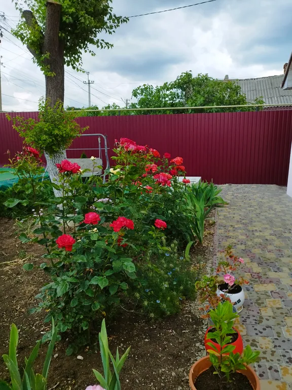 Дом на берегу Черного моря